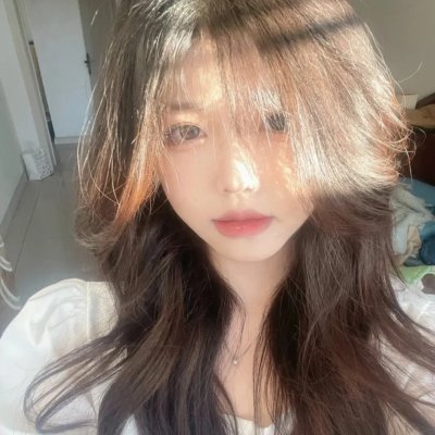 盗贼泰瑞莎