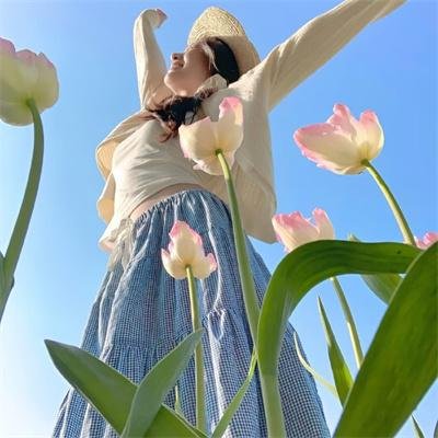 高更传：寻找天堂